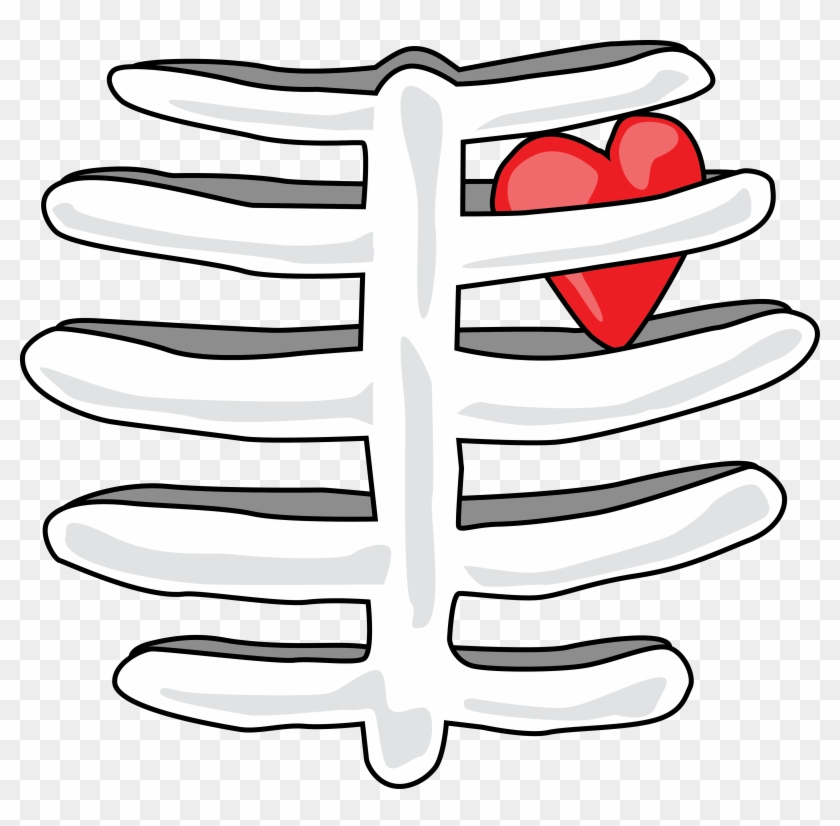 Beautiful Rib Cage Cartoon Skeleton Torso Halloween - Roblox T Shirts Png  PNG Image