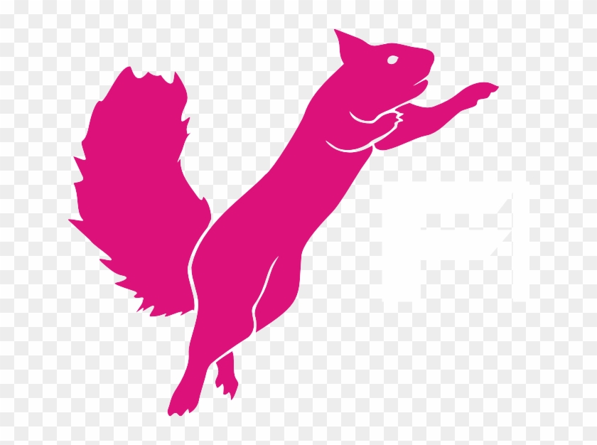 Flying Squirrel Trampoline Logo #1645222