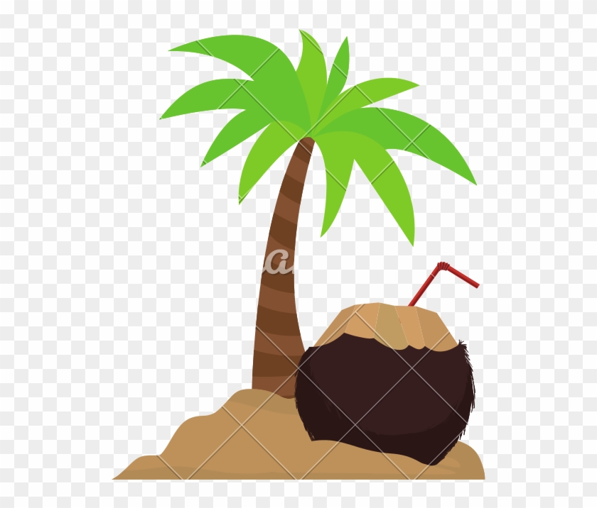 Coconut Drink On Island - Illustration #1645346