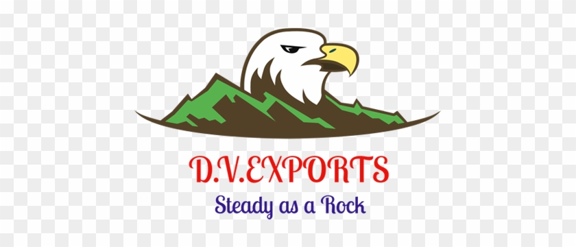 Dv Exports - Bald Eagle #1645488