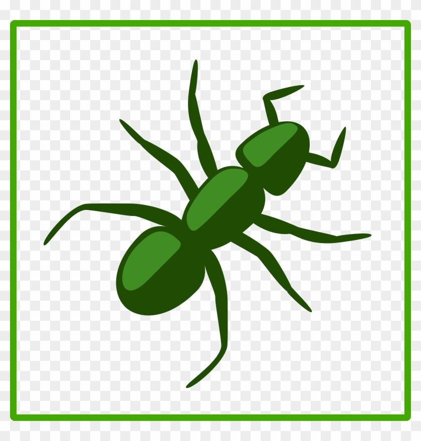 Eco Green Ant Icon - Transparent Ant Clip Art #1645514