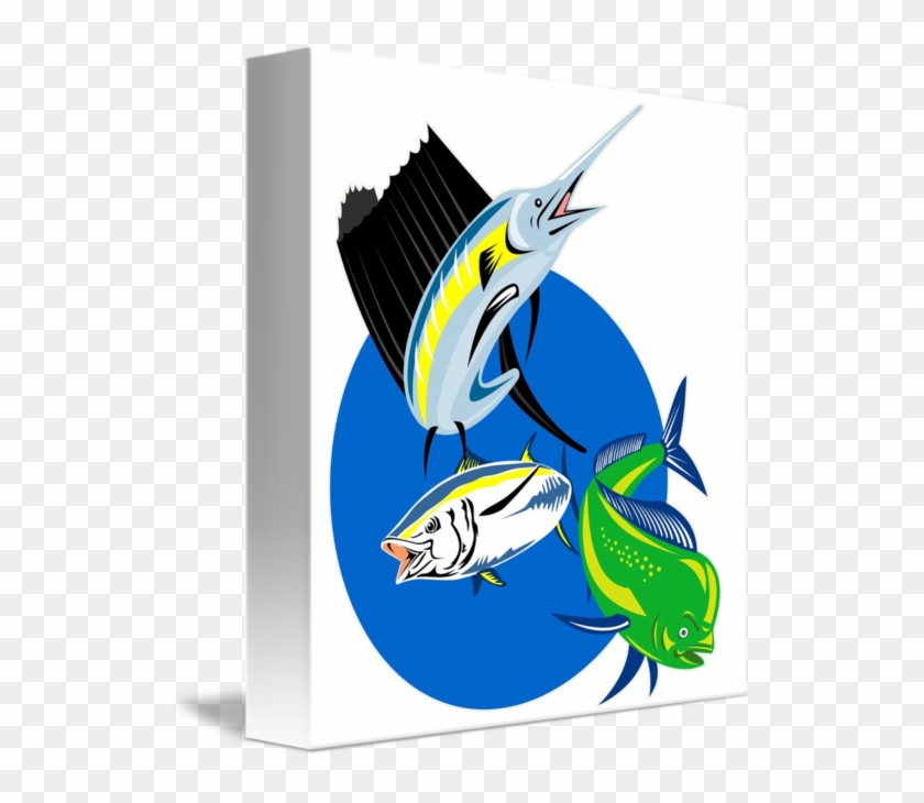 Sailfish Dorado Dolphin Fish And Yellow Fin Tuna By - Sailfish Dorado Dolphin Fish And Yellow Fin Tuna By #1645852