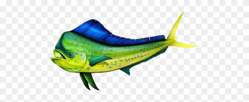 Whoa That Is One Good Looking T-top - Mahi Mahi Fish Art #1645864