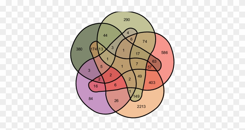 Enn Diagram Of Shared And Unique Degs In Bees Infected - Sandalia Flatform Amarração #1645988