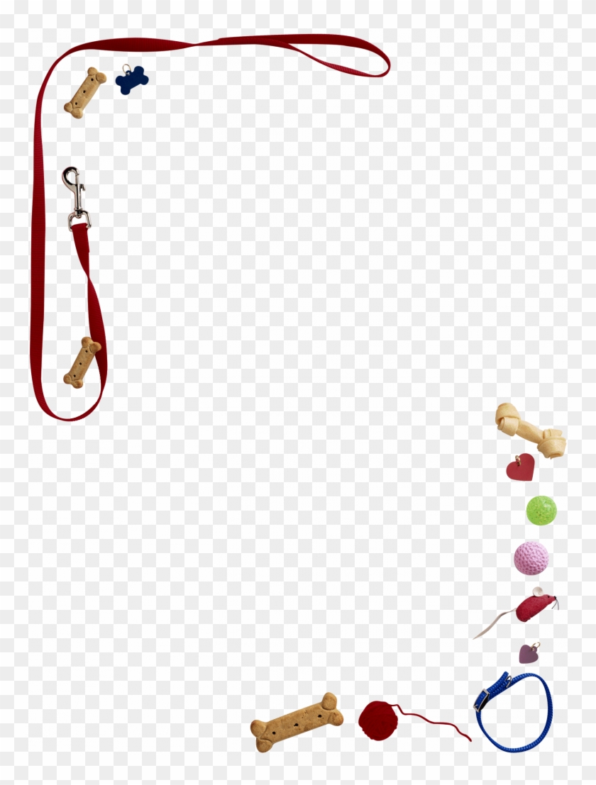 Lakeshore Home Pet Sitting - Lakeshore Home Pet Sitting #1646113