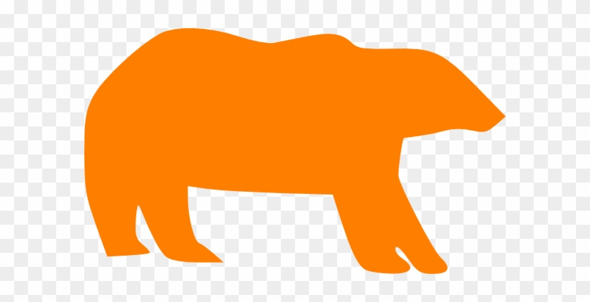 Orange Bear #1646256