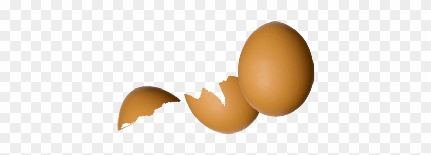 Broken Egg Png Wwwpixsharkcom Images Galleries With - Transparent Broken Egg Png #1646834