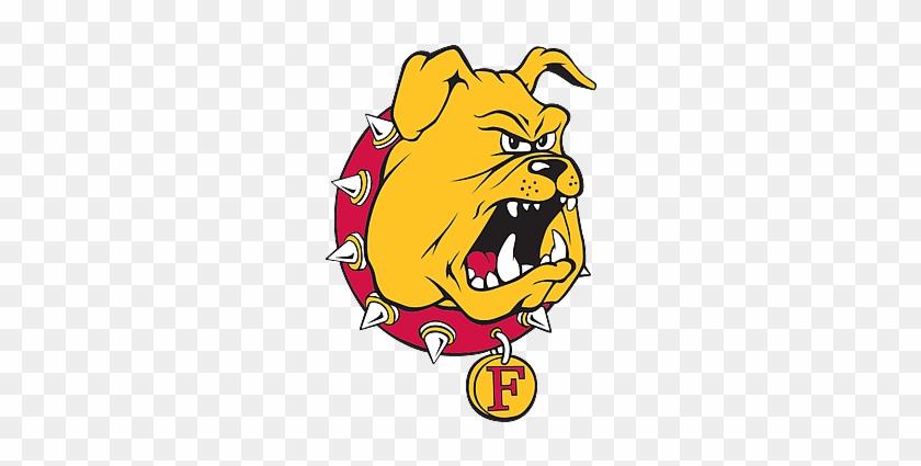 Team History - Team History #1646945