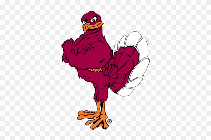 Virginia Tech Hokies - Hokie Bird #1647176