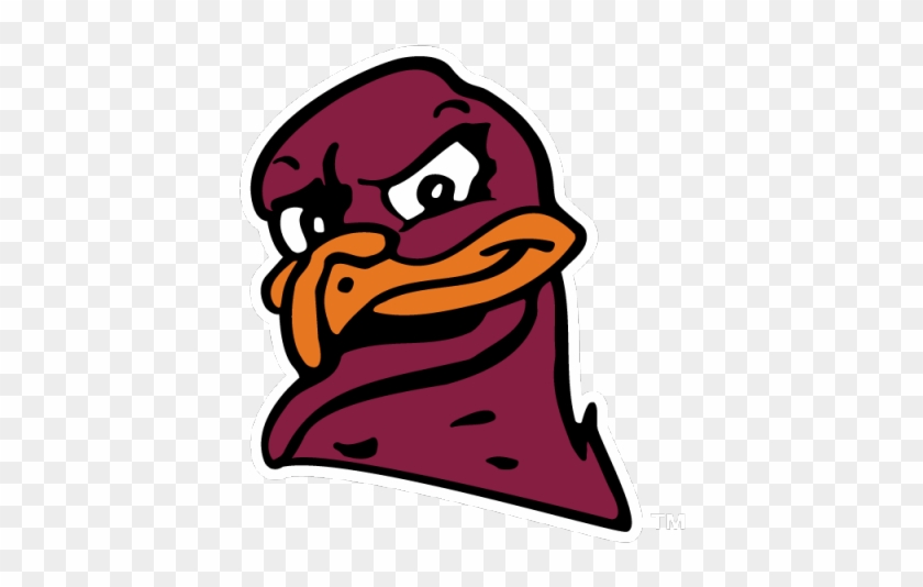 Hokiebird Head On Maroon Background - Hokie Bird Virginia Tech Hokies #1647187