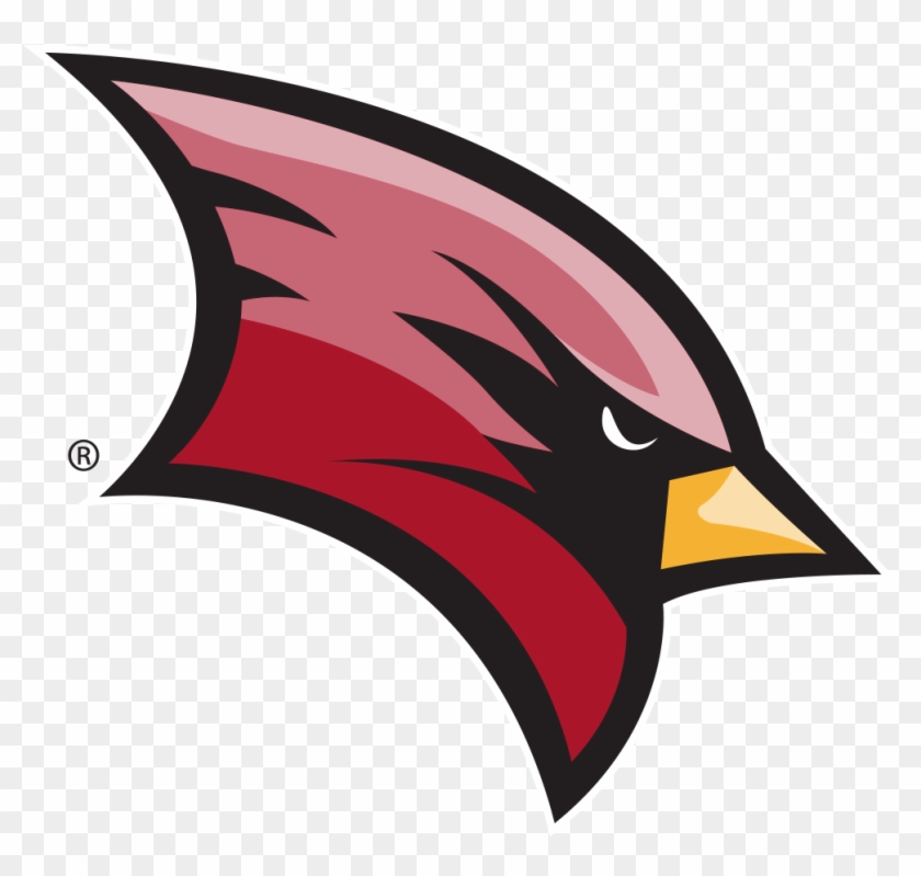 Rowan Profs - Svsu Cardinals #1647235