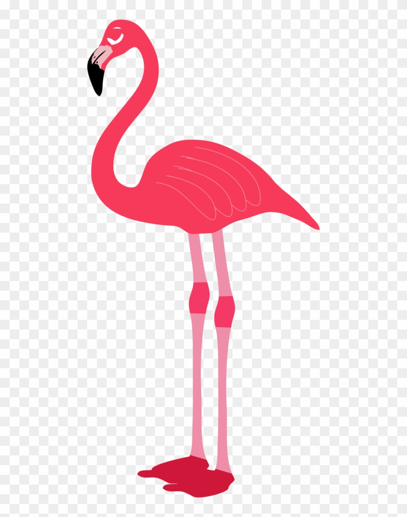 Free Png Download Flamingo Png Images Background Png - Transparent Background Flamingo Png #1647238