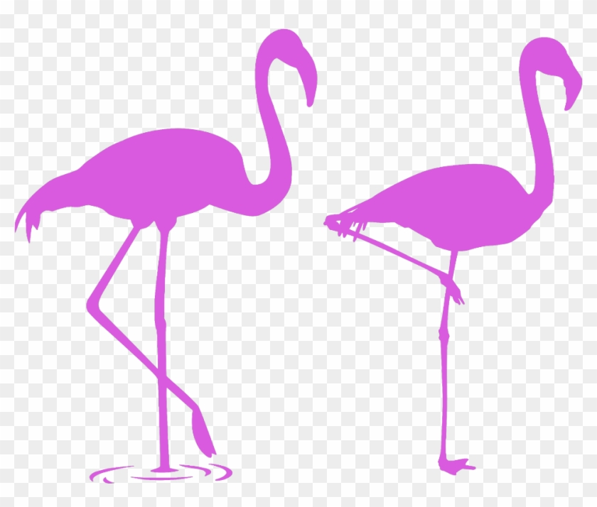 Mq Pink Flamingo Flamingos Silhouette - Flamencos Para La Pared #1647240