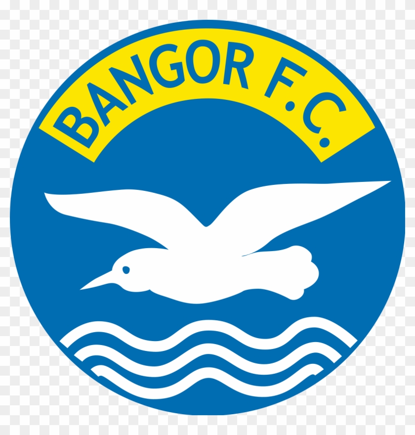 Nicky Davidson, Chairman Of Bangor Football Club, Will - Bangor Fc Northern Ireland #1647765