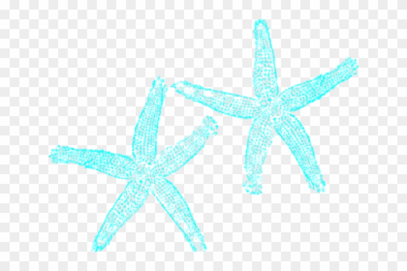 Turquoise Clipart Starfish - Fish Clip Art #1648011