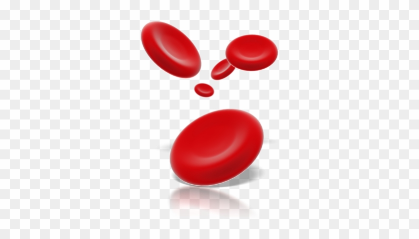 Red Blood Cell png download - 600*600 - Free Transparent Blood png