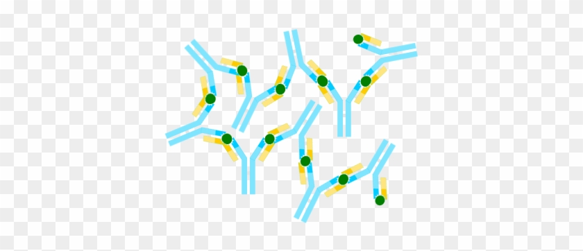 The Molecular Arms Race - Antigen Antibody Png #1648384