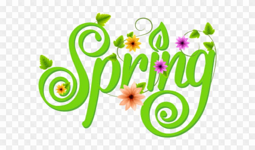 Spring Decoration Png Clip Art Image - Transparent Background Spring Clipart #1648848