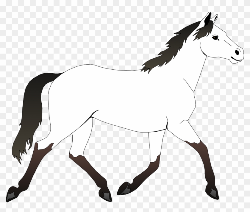 Coloring Book Horse Face Comic Animal Coloring Book - Horse Black And White Clipart Png #1649010
