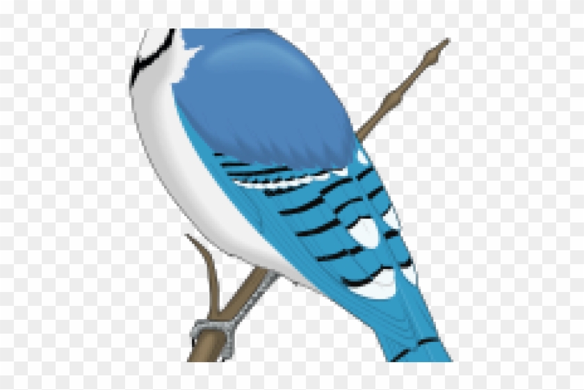 Blue Jay Clipart - Blue Jay Clip Art #1649730