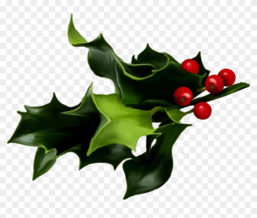 Free Png Mistletoe Png Art Png - Holly And Ivy Png #1649735