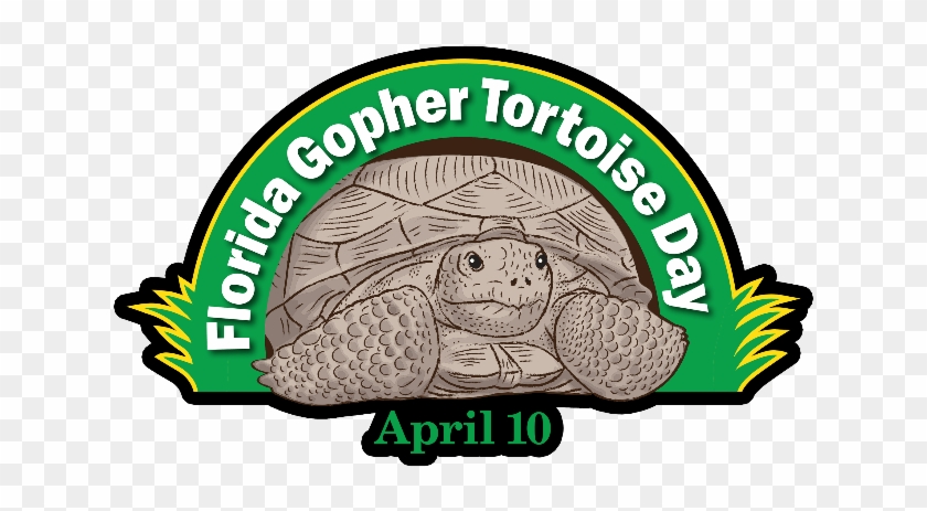 Gopher Tortoises May Be Slow, But Gopher Tortoise Day - Florida Gopher Tortoise Day #1650003