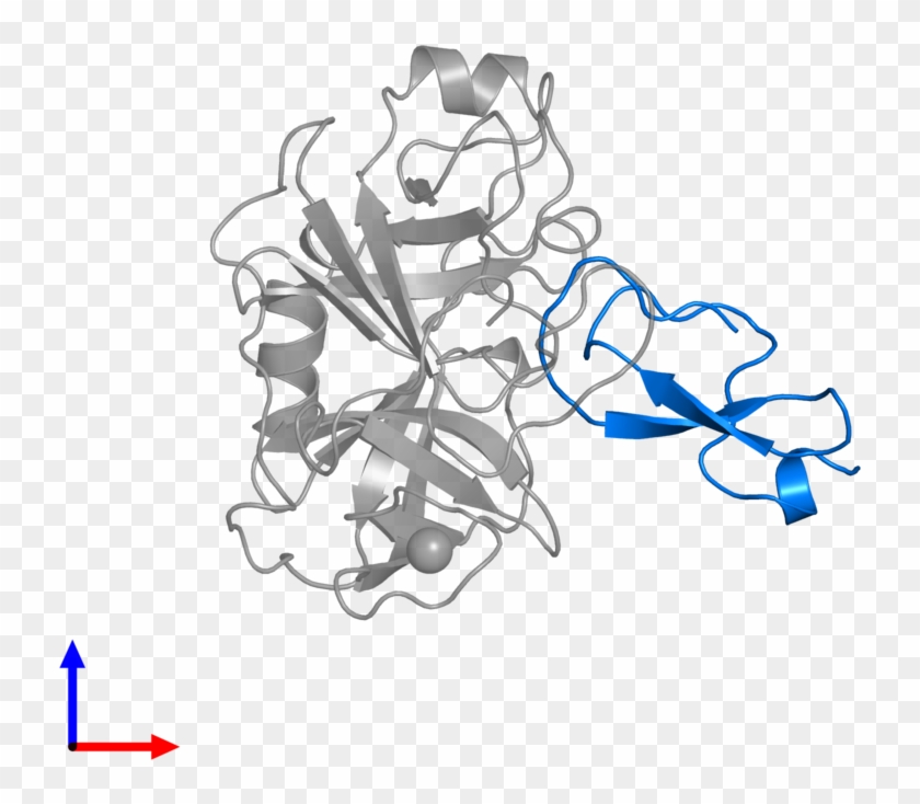 <div Class='caption-body'>pdb Entry 1co7 Contains 1 - Illustration #1650348