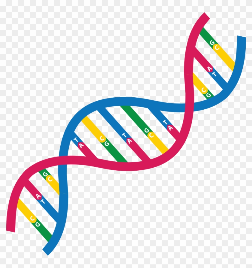 Do You Wanna Know More About Genome Assembly So, Take - Dna Research Icon #1650349