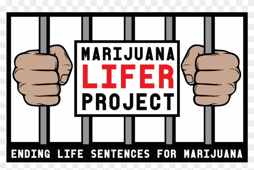 Our Mission Marijuana Lifer Project - Our Mission Marijuana Lifer Project #1650756