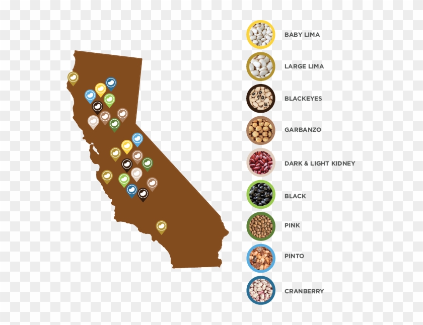 Cabeans Final Seasonaltimeline - California Map #1651022