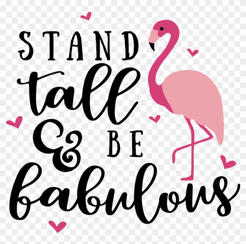 Quotes Sticker - Greater Flamingo #1651453