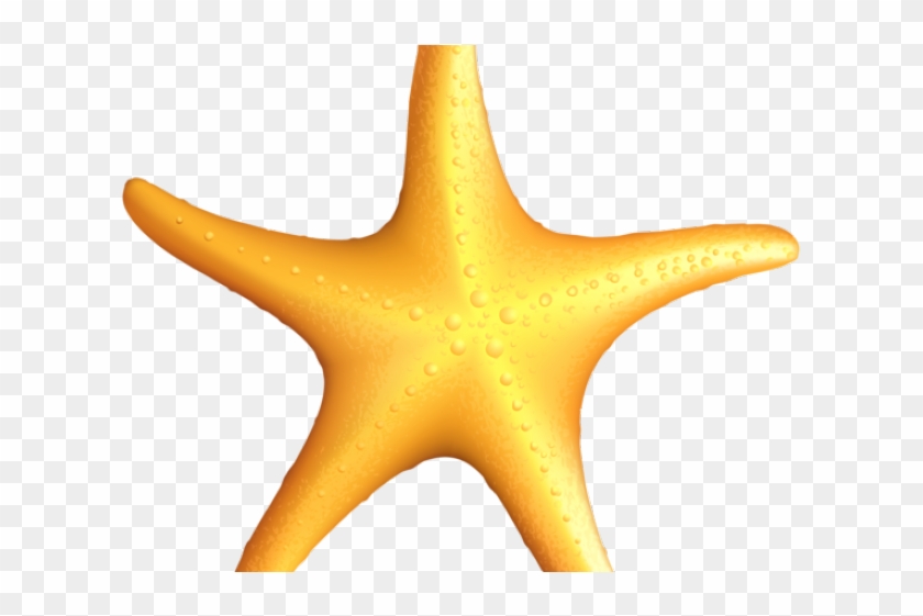 Tropical Fish Clipart Starfish - Clip Art #1651756