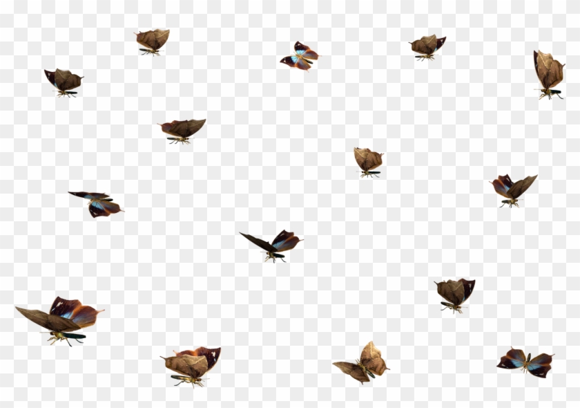 Misc Png Clip Art - Transparent Blue Overlay Png #1652080