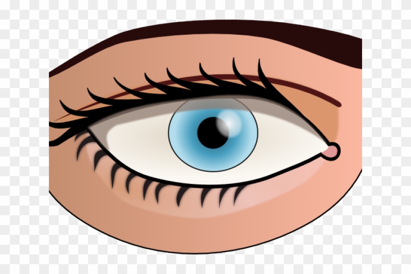Eye Art Clip - Parts Of Body Eye #1652160