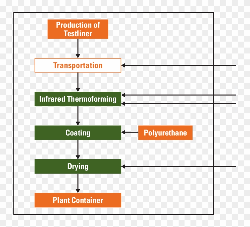 Schematic Flow Chart For The Production Processes Of - Flow Chart Of Horticulture #1652216