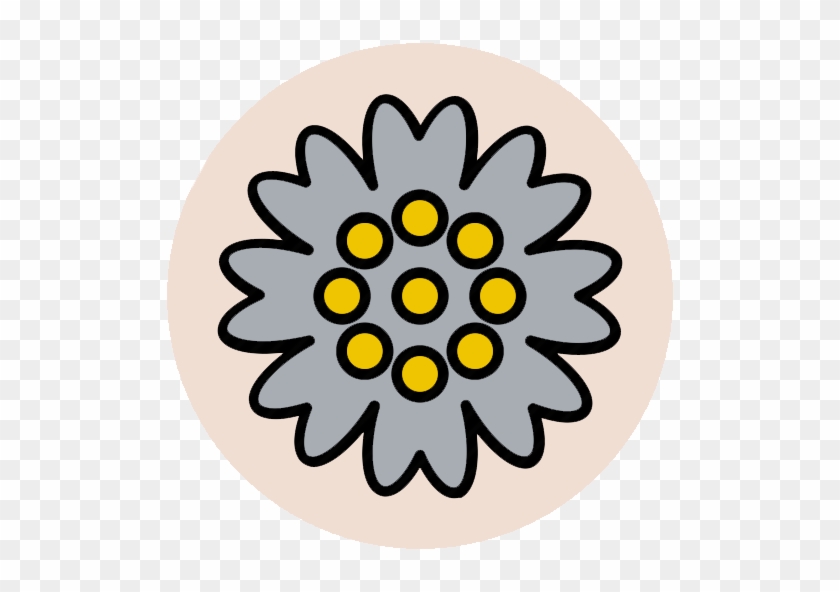 Rotary Club Philippines #1652510