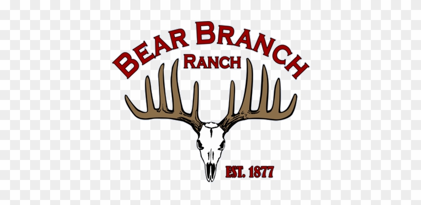 Bear Branch Ranch - Antler #1652546