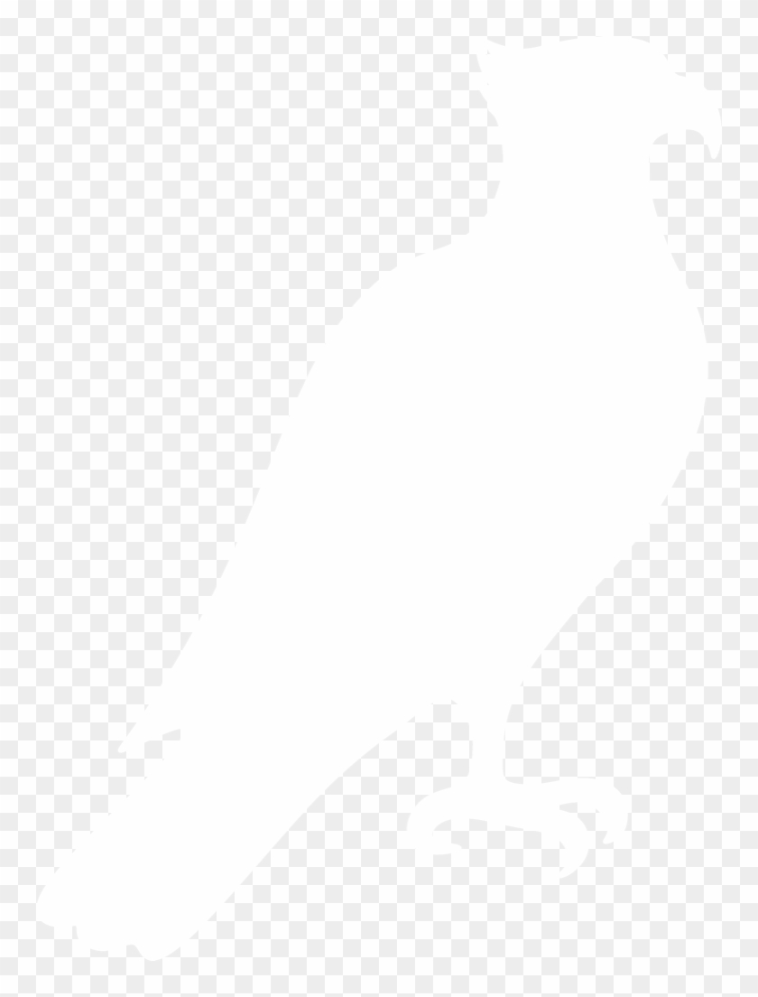 Birds Vector Osprey - Parrot #1653064