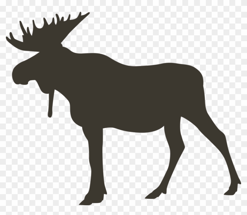 Moose - Moose - Loon - Moose - Moose - Loon #1653078