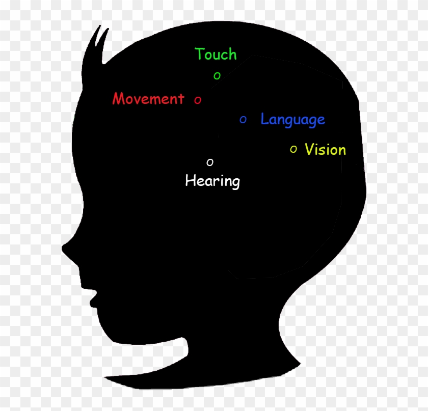 Baby Brain Development Stage 6-12 Months - Mental Development In Infancy Period #1653099