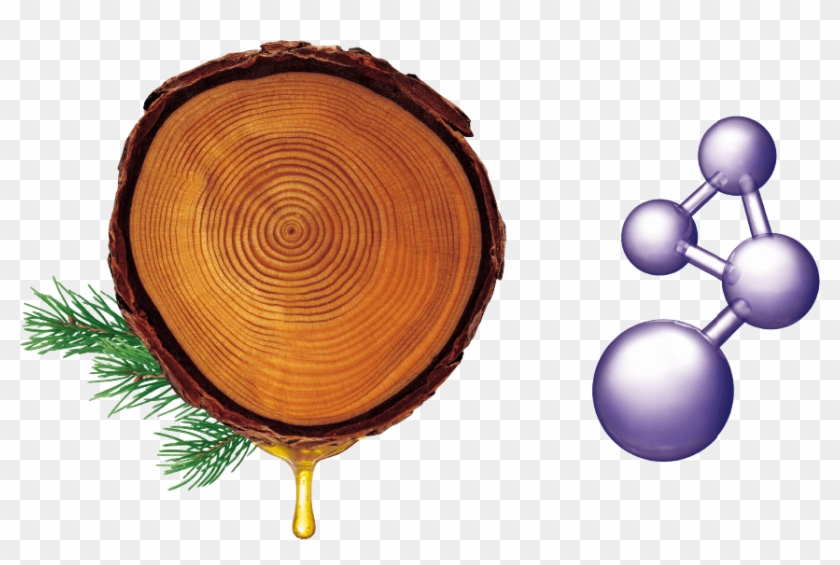 Pycnogenol Plus Amino L-arginine - Illustration #1653106