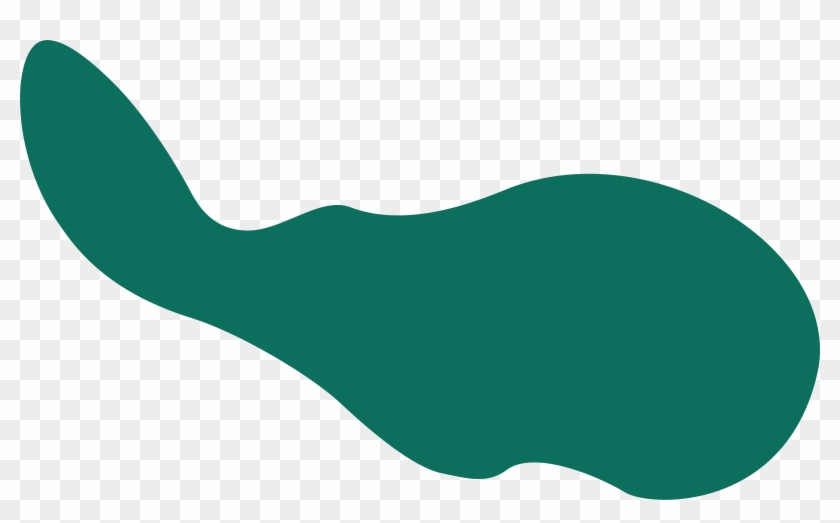 Customer Snapshots Help You - Customer Snapshots Help You #1653294