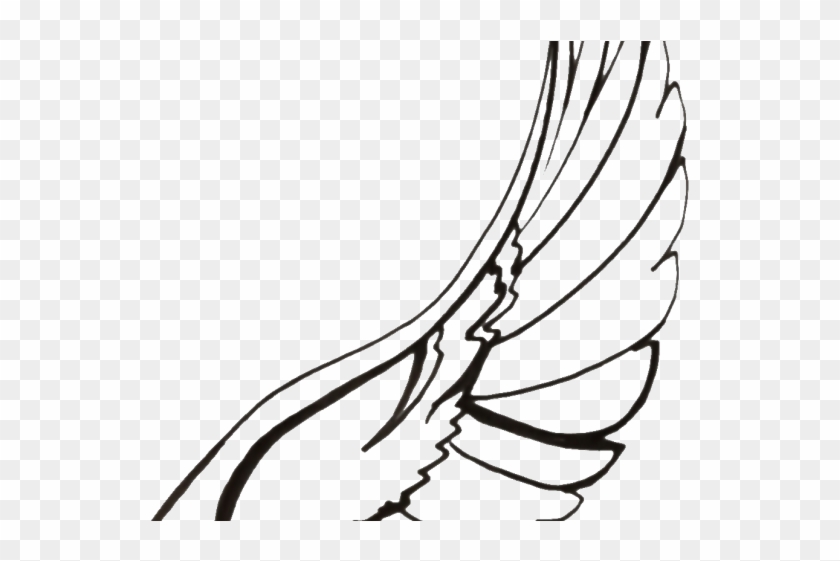 Drawn Wings Line - Bird Wing Drawing Png #1653470