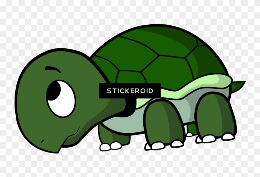 Cute Turtle - Transparent Background Tortoise Clipart #1653530