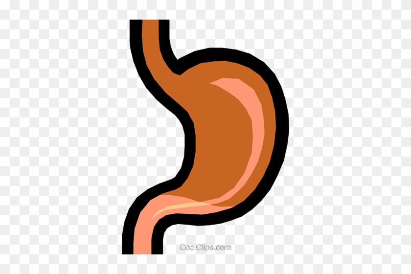 Stomach Royalty Free Vector Clip Art Illustration - Dyspepsia Gif #1653608