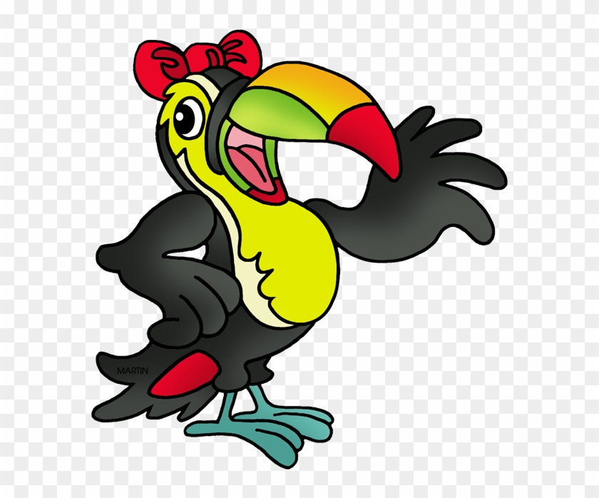 Toucan - Turkey #1653749