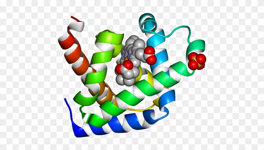 No Rotation Molmil Generated Image Of 1ymb - No Rotation Molmil Generated Image Of 1ymb #1653989