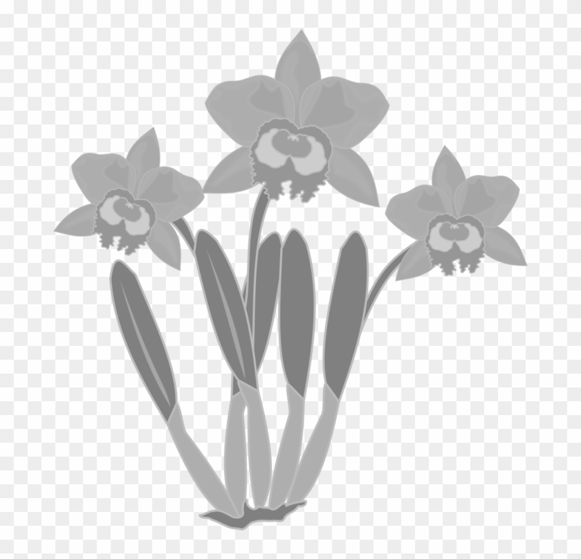 All Photo Png Clipart - Orchids #1654526