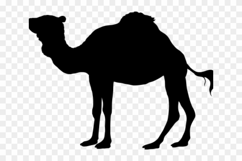 Camels Clipart Three Kings - Kids Wall Stickers Animal Silhouettes #1655535
