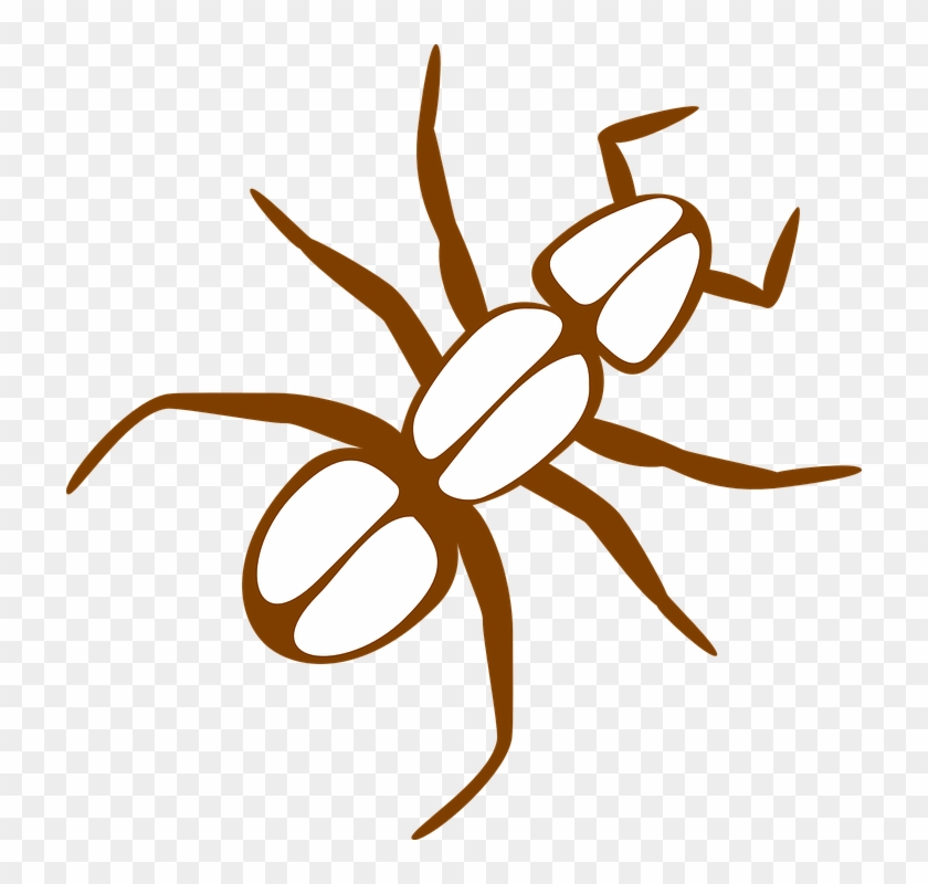 Legs Clipart Ant - Ant Clip Art #1655546